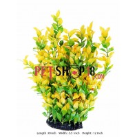 Aquascaper Aquarium Plant Glossostigma Yellow And Green Leaf Large